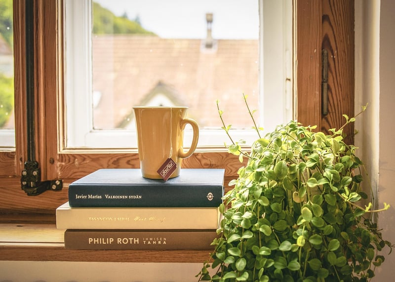 Indoor Greenery